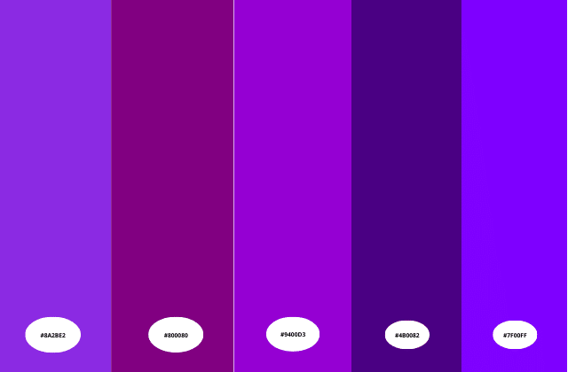 Que Cor Combina Com Roxo