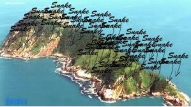 Pesquisa biológica Ilha das Cobras