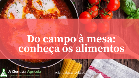 Como Implementar QR Code na Rastreabilidade de Pequenas Produções