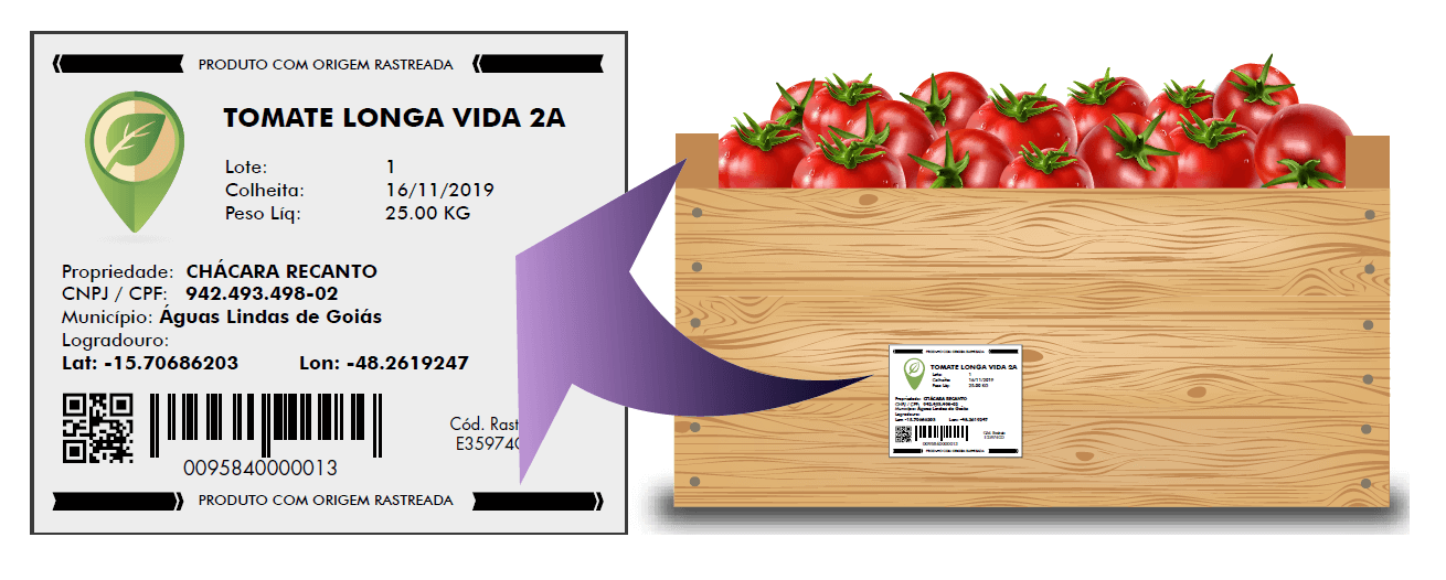 Rastreabilidade de Alimentos: Guia Completo para Consumidores
