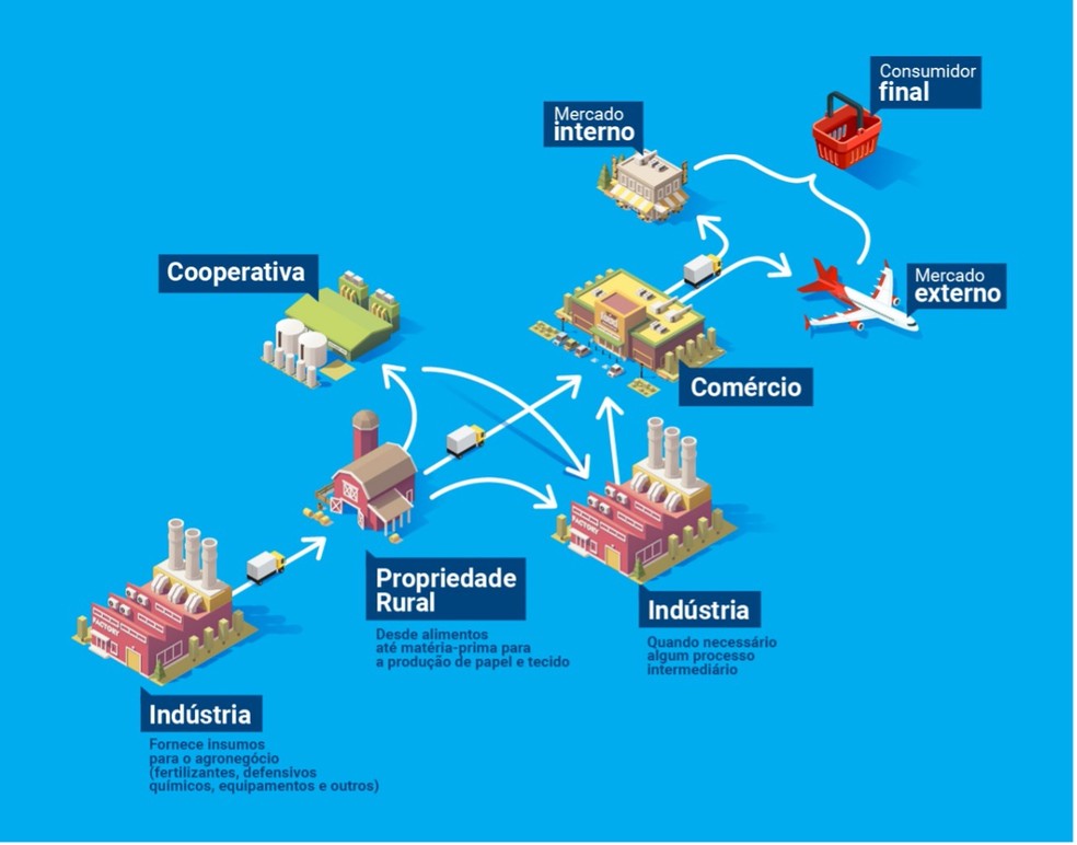 Como Implementar QR Code na Rastreabilidade de Pequenas Produções