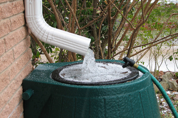 Água da Chuva na Horta: Dicas de Uso e Cuidados para sua Irrigação