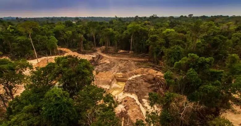 ações para recuperar solo degradado