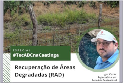 técnicas de reabilitação ambiental