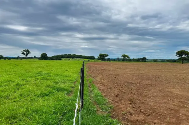Calagem e Adubação: O Segredo para Pastagens Mais Produtivas e Rentáveis