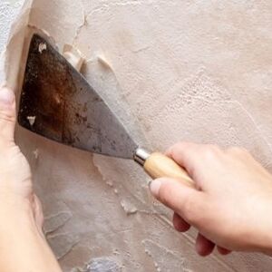 Os 5 Tipos de Papel de Parede Mais Comuns e Como Removê-los