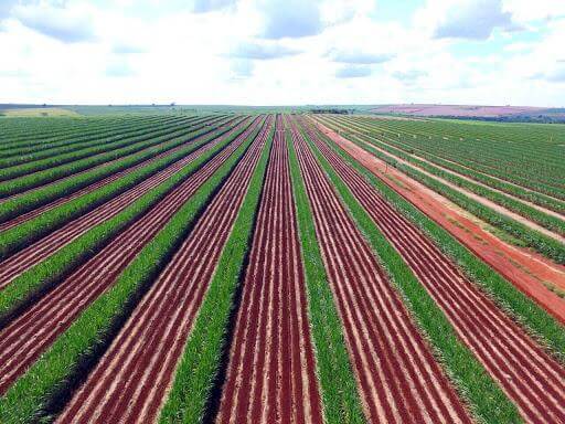 Otimização de Custos na Produção de Cana-de-Açúcar