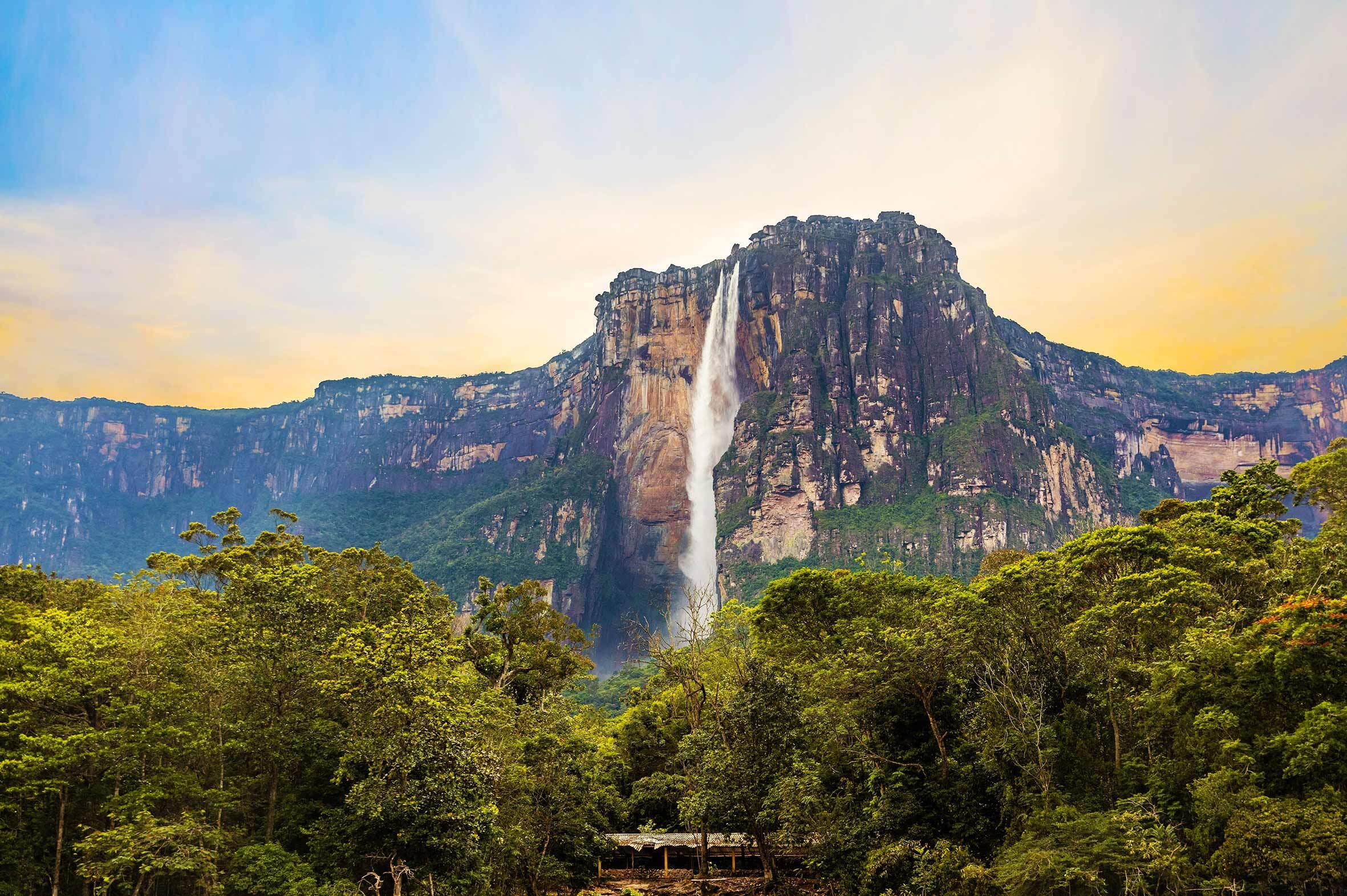 Fauna e flora endêmica Monte Roraima