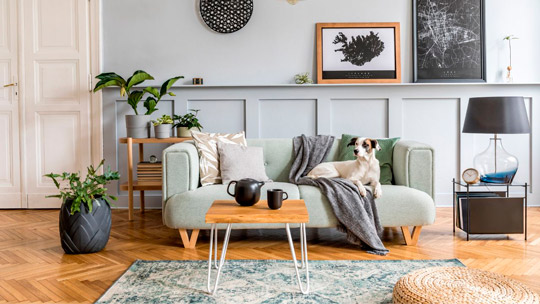 sala com sofá cinza decoração