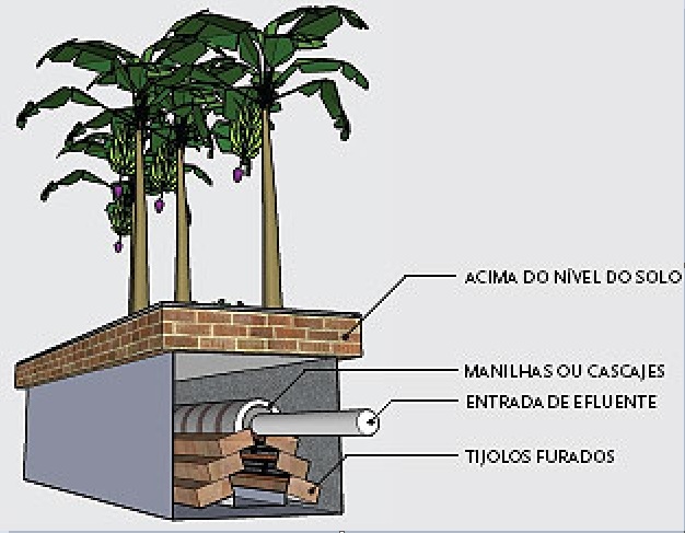 saneamento ecológico fossa de bananeiras