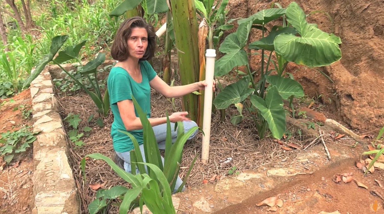 2. Diferenças Cruciais: BET vs. Círculo de Bananeiras