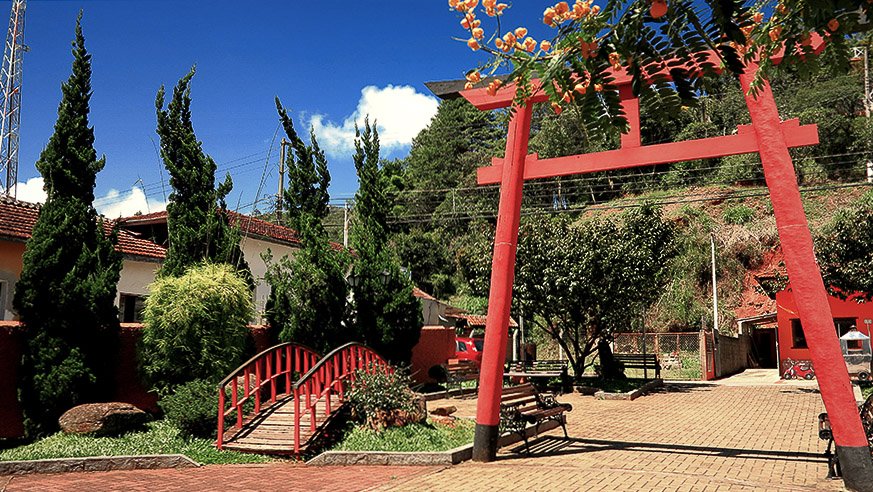 Eventos e festivais em Santo Antônio do Pinhal