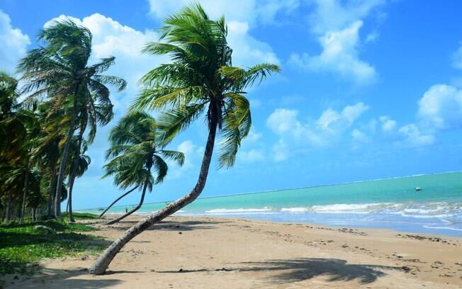 sao joao dos milagres alagoas