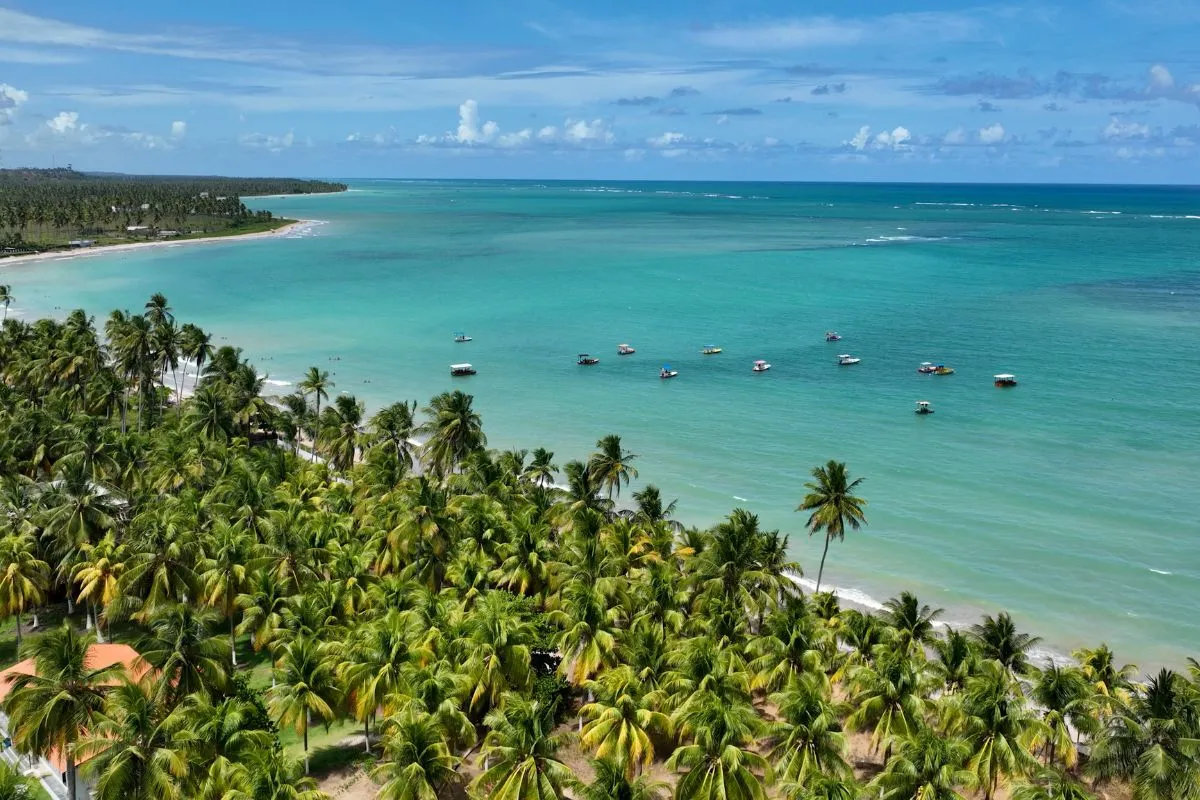 sao joao dos milagres alagoas