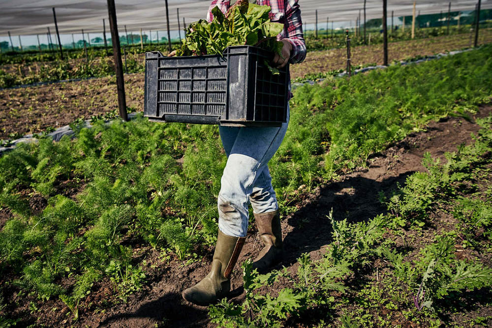 segurança no trabalho rural
