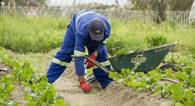 segurança no trabalho rural