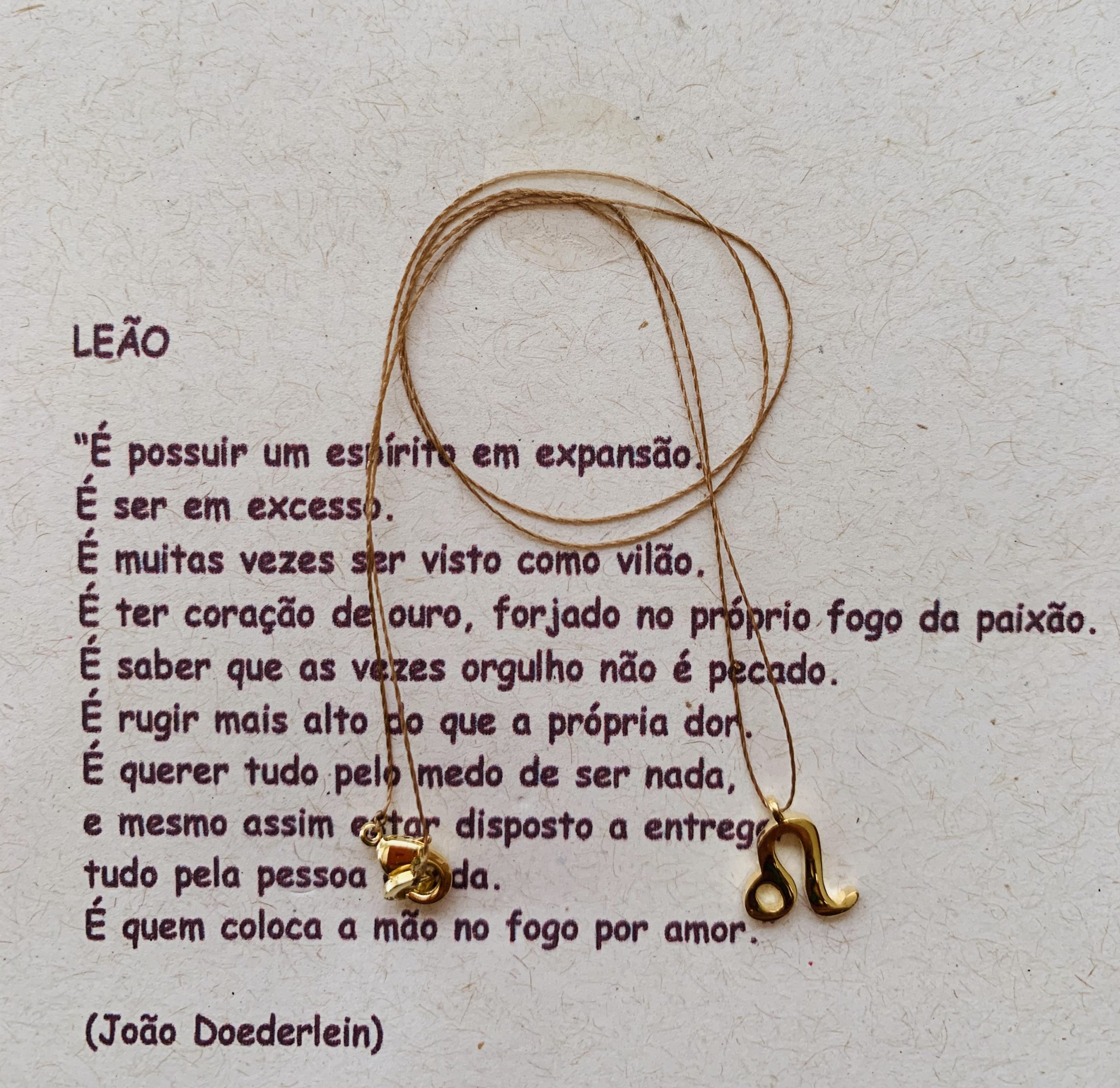 signo de leão no amor