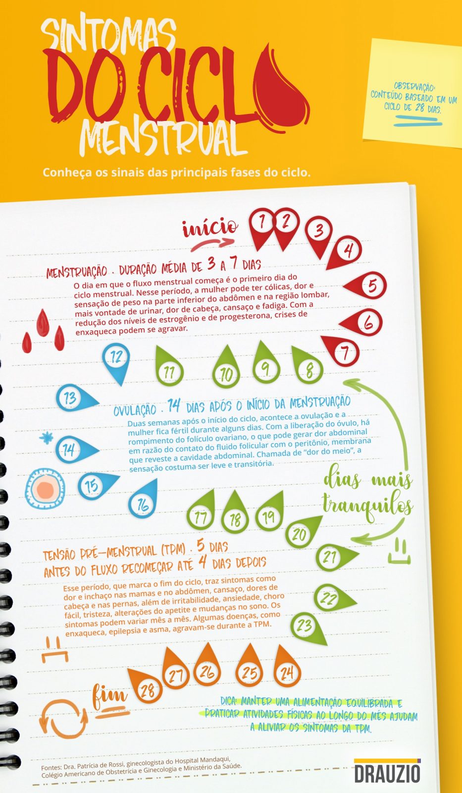 Dieta e Exercícios para Reduzir o Inchaço e a Fadiga Menstrual