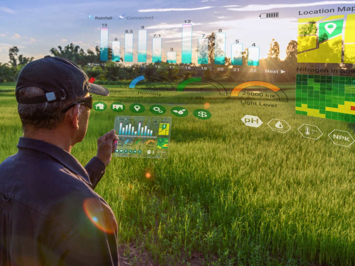 Aegro vs. MyFarm: Qual o melhor para gestão financeira rural?