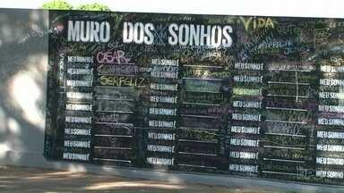 sonhar com muro de jardim