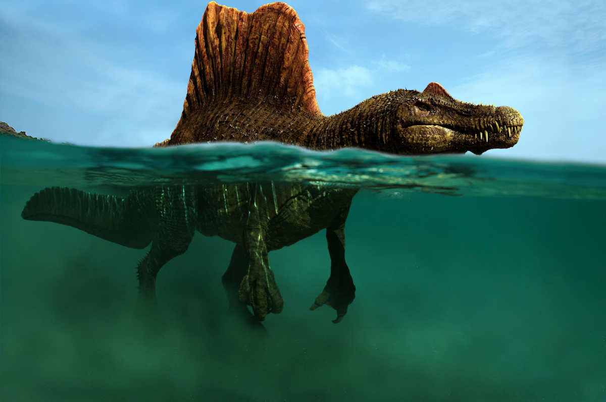 spinosaurus aegyptiacus