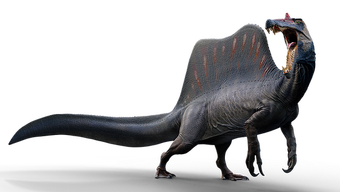 Como o Spinosaurus se Compara ao T-Rex: Uma Análise Detalhada