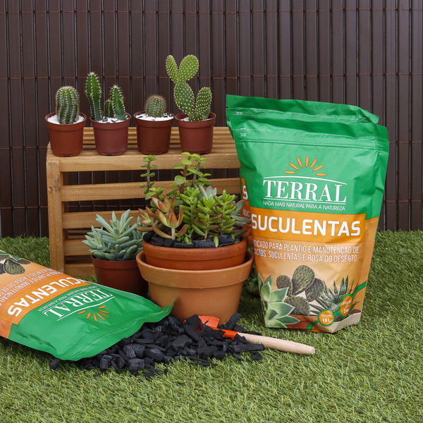 substrato para plantas qual o melhor