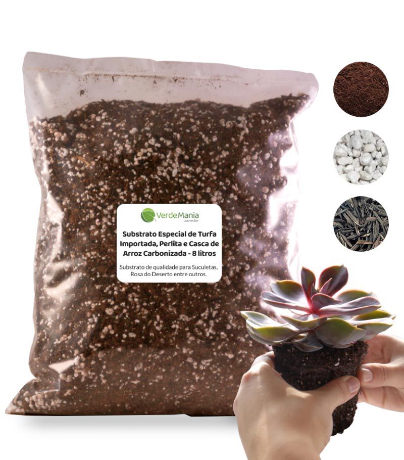 5 Mitos sobre Substratos de Plantas