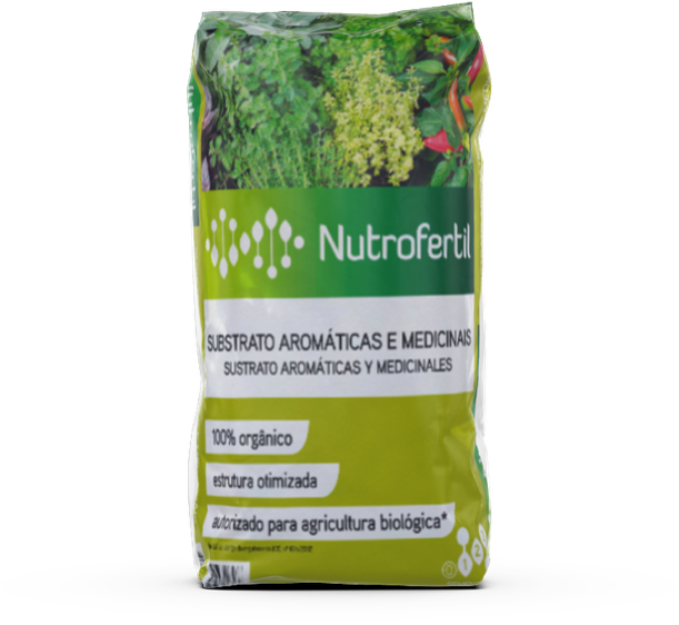 Como Identificar o Substrato Ideal para Cada Planta