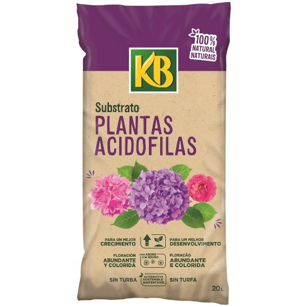 substrato para plantas qual o melhor