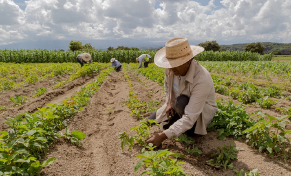planejamento sucessório para fazendas