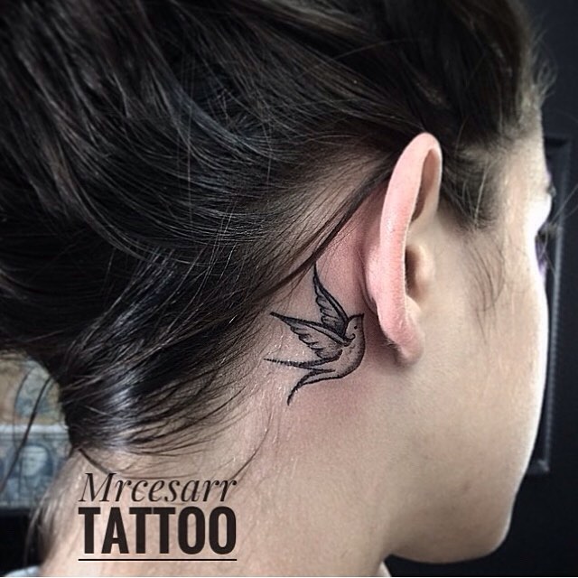 Estrelas e Constelações