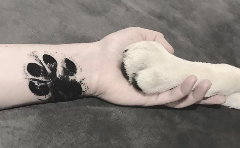 Inspirações de Tatuagens de Pata de Cachorro: Do Minimalista ao Realista