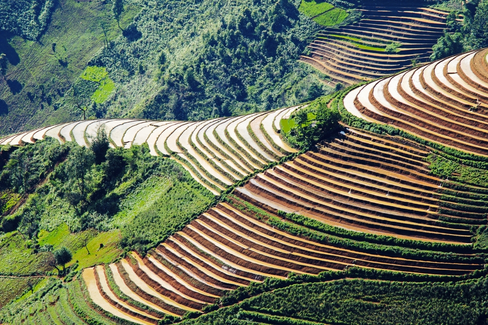 terraceamento agrícola como funciona