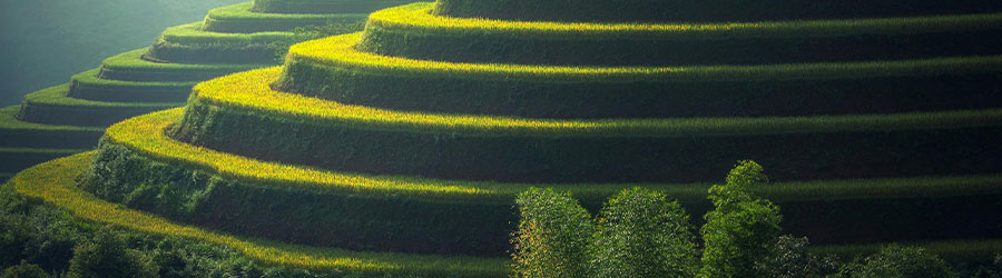 Benefícios do terraceamento para a produtividade agrícola