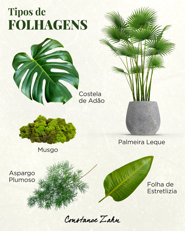 melhores folhagens para decorar sua casa