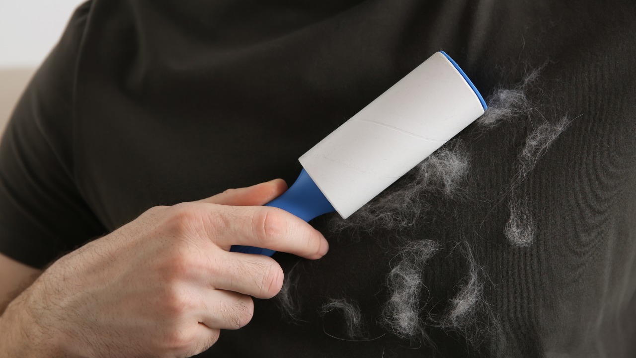 5 ideias de títulos