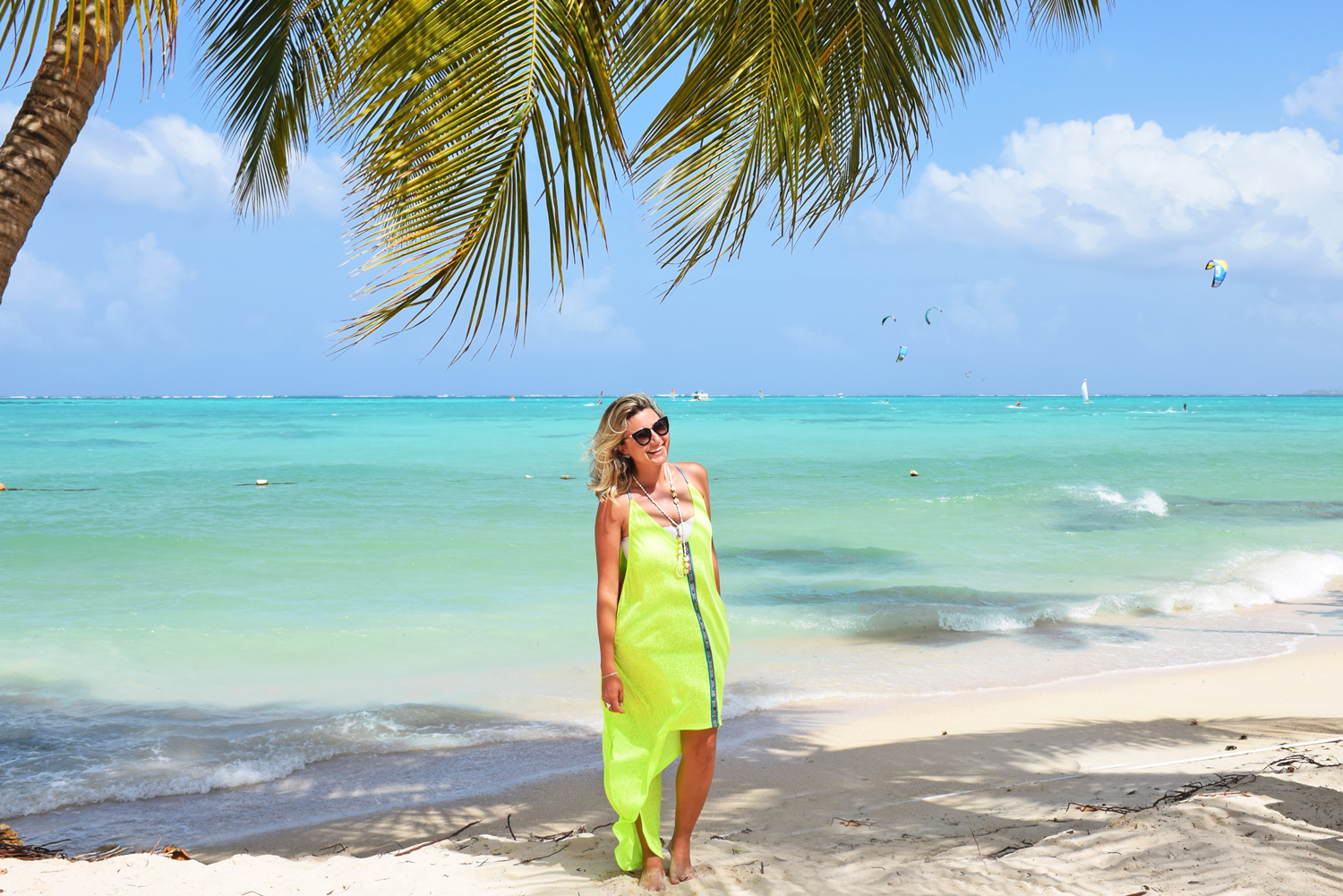 Observação de Colibris na Reserva Yerettê: Um Paraíso Natural