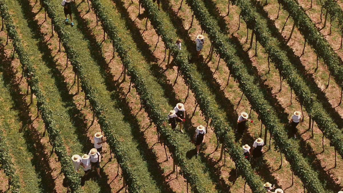 turismo de vivência no campo