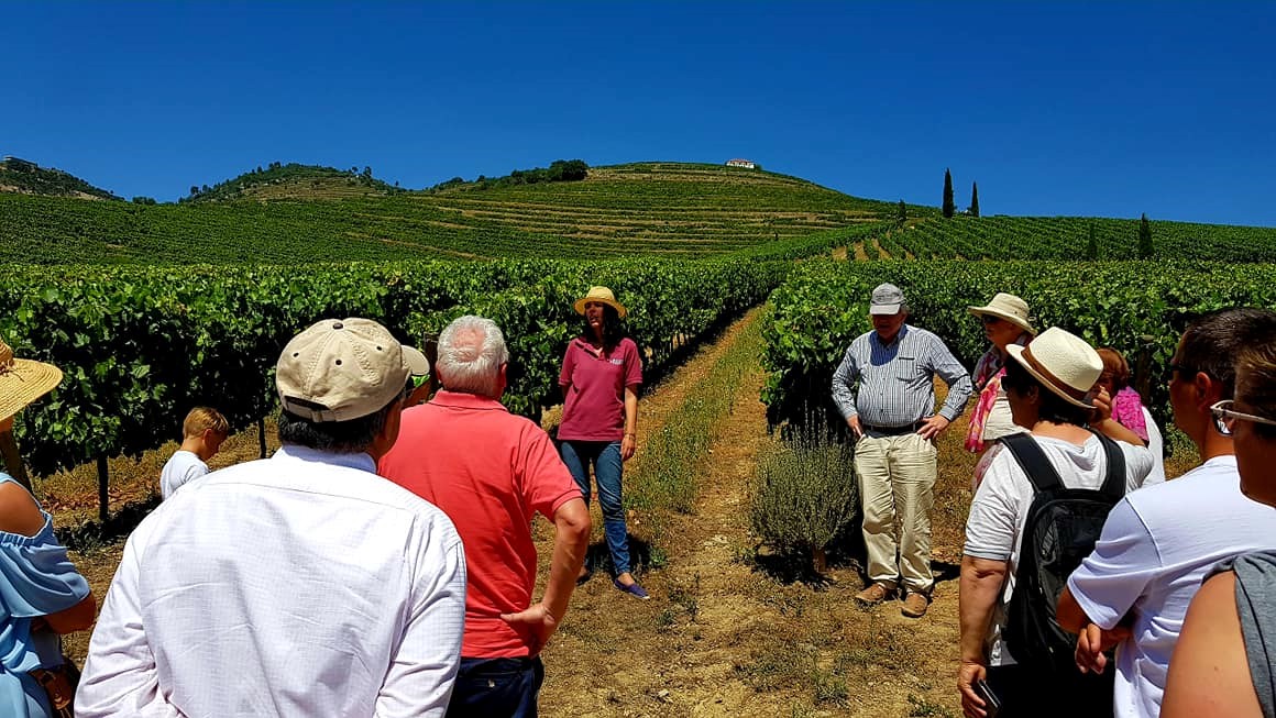 turismo de vivência no campo