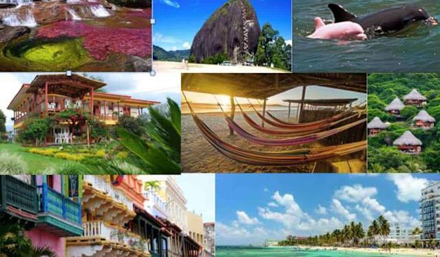 Descubra a Magia da Zona Cafetera Colombiana