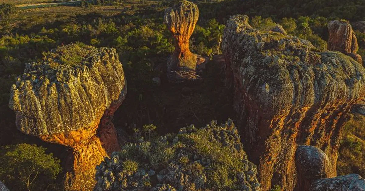 turismo no parana brasil
