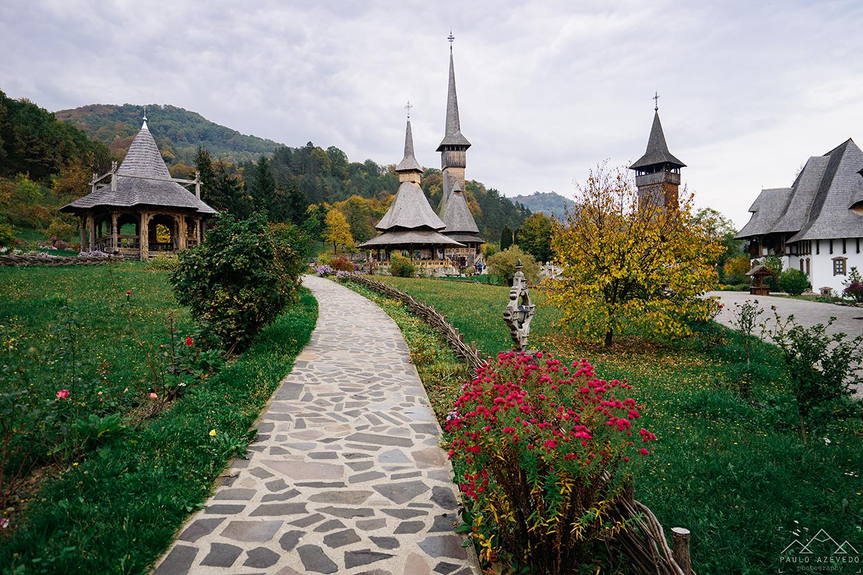 Além dos Castelos: Descobrindo as Belezas Naturais da Romênia (Delta do Danúbio e Cárpatos)
