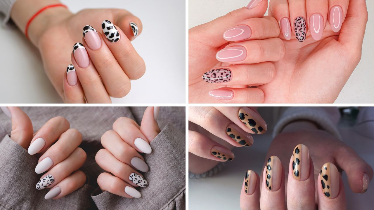 unhas redondas elegantes