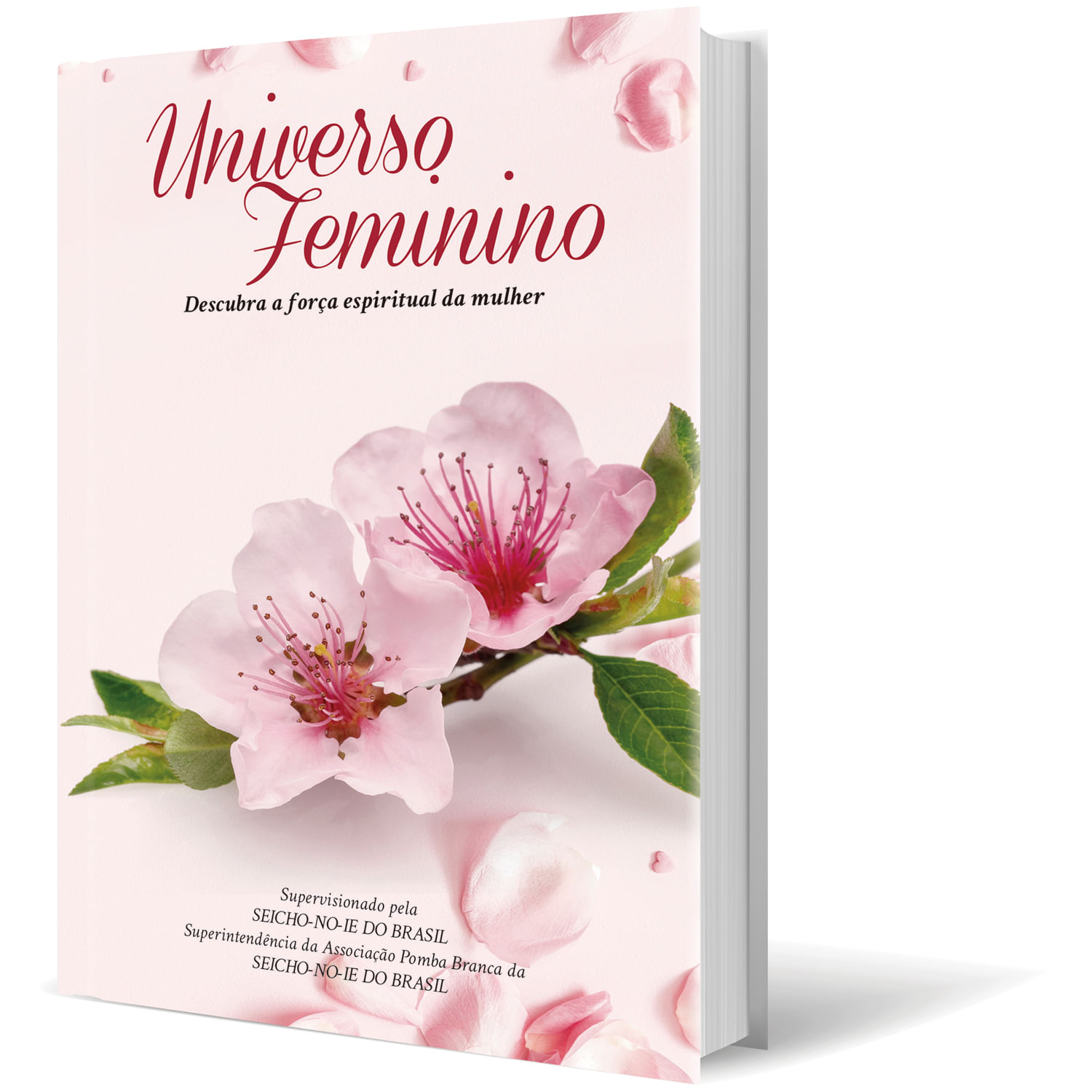 universo feminino