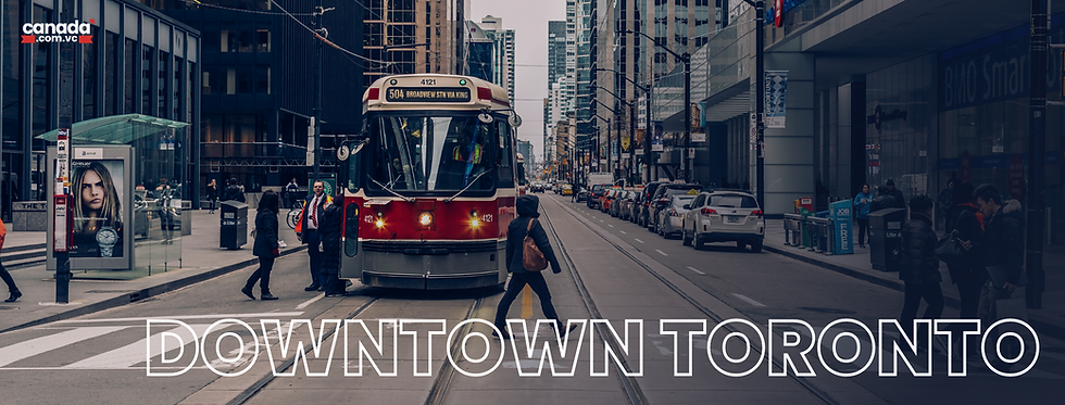 Gastronomia em Toronto: Onde Comer e Beber