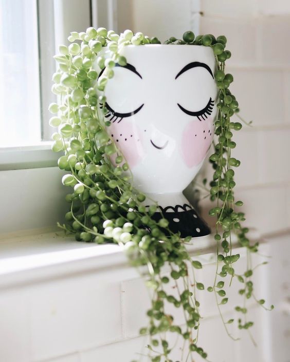 5 ideias de títulos:
1. Guia Completo: Como Escolher o Vaso Perfeito para Suas Suculentas
2. Materiais de Vasos para Suculentas: Prós e Contras
3. Tamanho e Profundidade Ideais do Vaso para Suculentas Saudáveis
4. Dicas Essenciais de Montagem e Cultivo de Suculentas em Vasos
5. Erros Comuns ao Escolher Vasos para Suculentas e Como Evitá-los