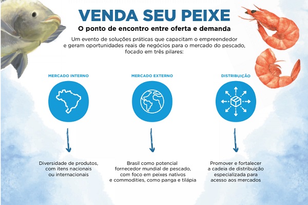 venda de peixes como comercializar a produção