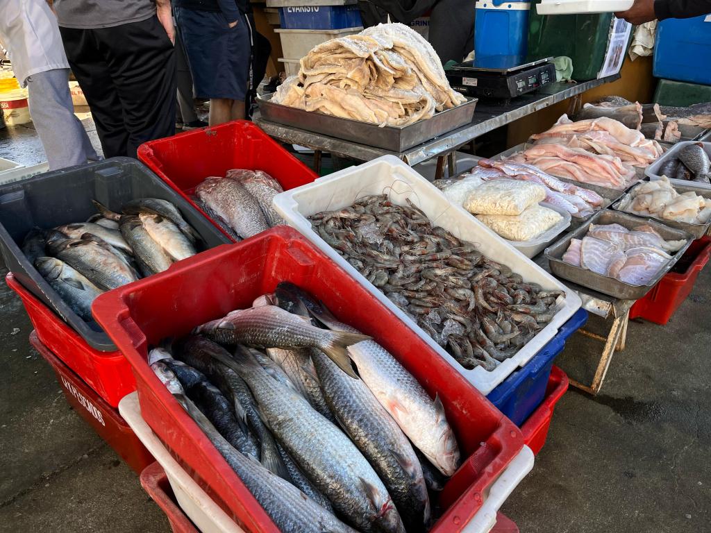 Como Aumentar a Margem de Lucro na Piscicultura: Dicas Essenciais