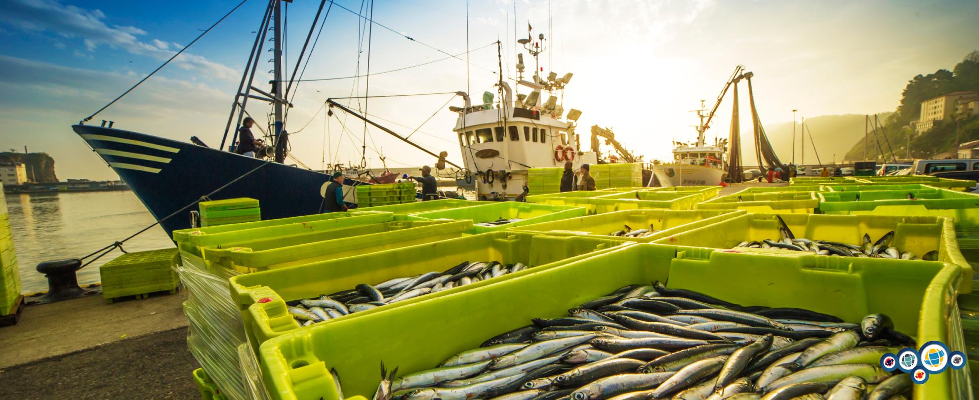 Como Aumentar a Margem de Lucro na Piscicultura: Dicas Essenciais